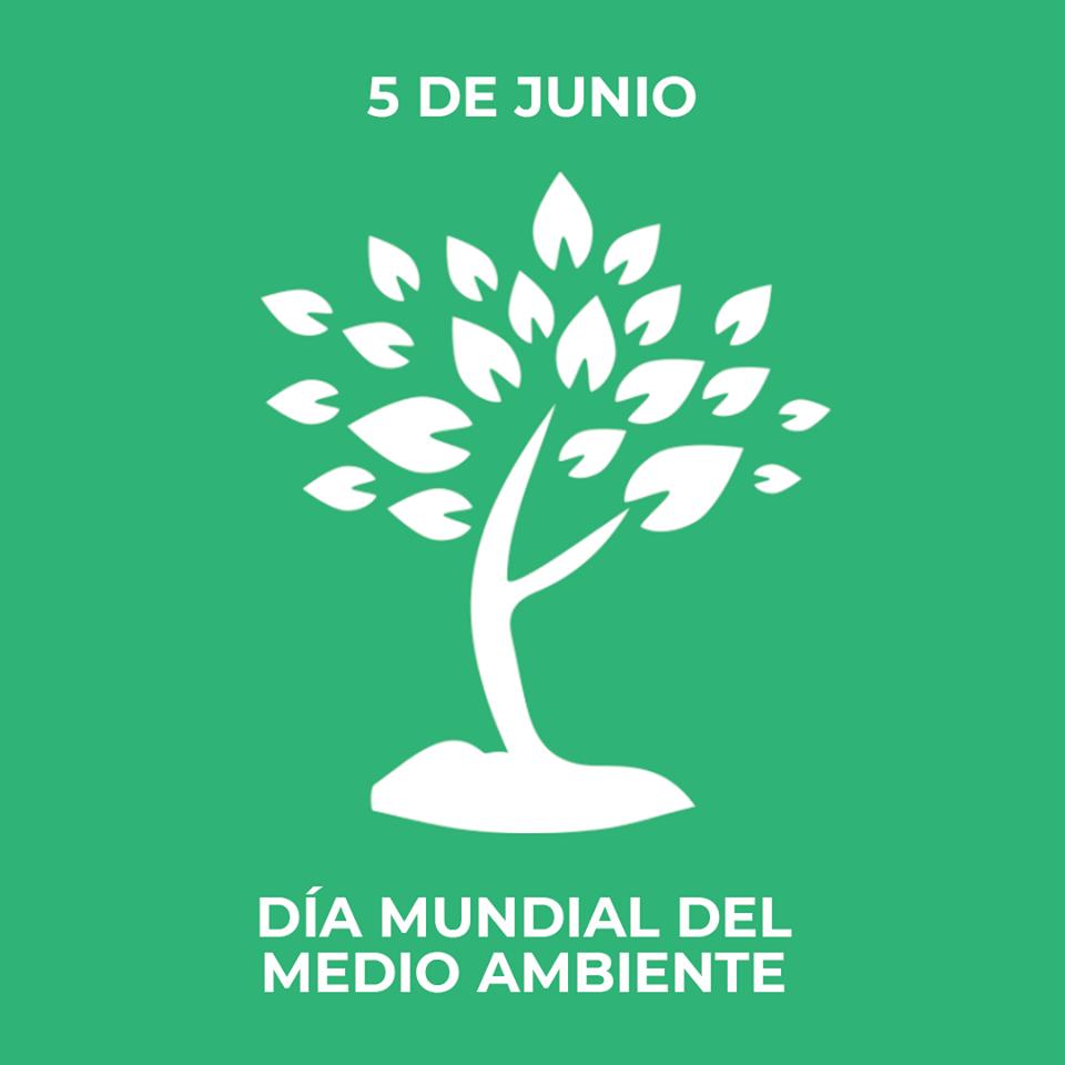 SE_GABYL's tweet photo. 🍃 5 de junio. 
☀️ Hoy celebramos el día Mundial del Medio Ambiente. Desde nuestra empresa, tenemos conciencia de la importancia del mismo y trabajamos para cuidar nuestro planeta intentando mejorarlo para próximas generaciones
#DiaMundialDelMedioAmbiente https://t.co/8axMHLkXqu