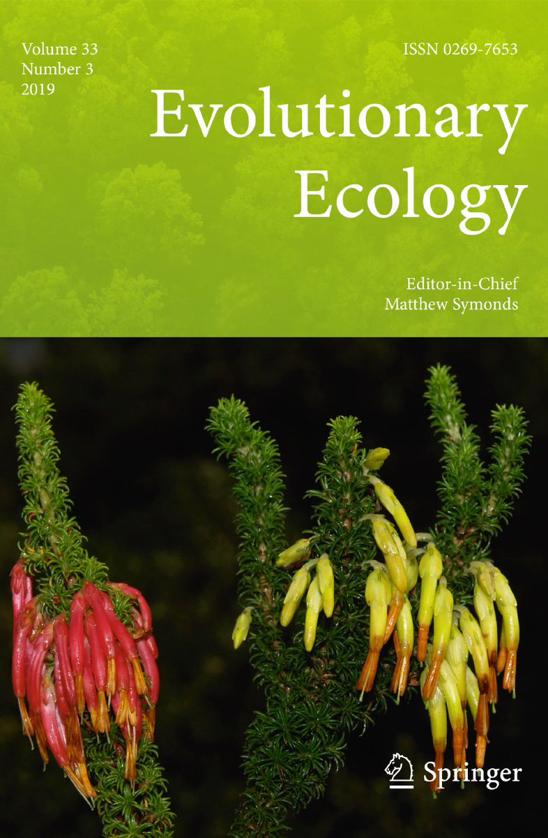 TMTSpringer's tweet photo. Is the predation risk of mate-searching different between the sexes? Read the latest #Evolutionary #Ecology *featured* paper by @Torsay for the answer: https://t.co/WnZQe1LOOX #SpringerNature #SNEVEC @evoecology #predationrisk #treecricket #orthopterans https://t.co/jyJirrXxEQ