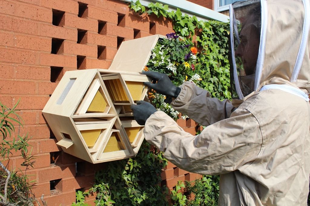 OxoTowerWharf's tweet photo. It's World Environment Day! Here is Nada Coles' Major Project - a modern hive that will help the UK honey bee population rise. See her work at the @madeinbrunel exhibition at Bargehouse and gallery@oxo this June https://t.co/x64wS6blxu #newcreatives #madeinbrunel #oxotowerwharf https://t.co/6h66upsq5M
