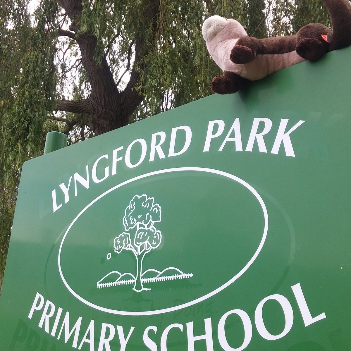 WestcountryRT's tweet photo. Even Dylan left the river to help us at our #Sponge2020 @Interreg2Seas #RainGarden planting at #LyngfordPrimarySchool today.
.
@SomersetCouncil @RainwaterLorna @RAEngNews @UWEBristol @UWEWomenLikeMe 
.
#SuDS #sustainability #floodprevention https://t.co/T6qNETFk5A