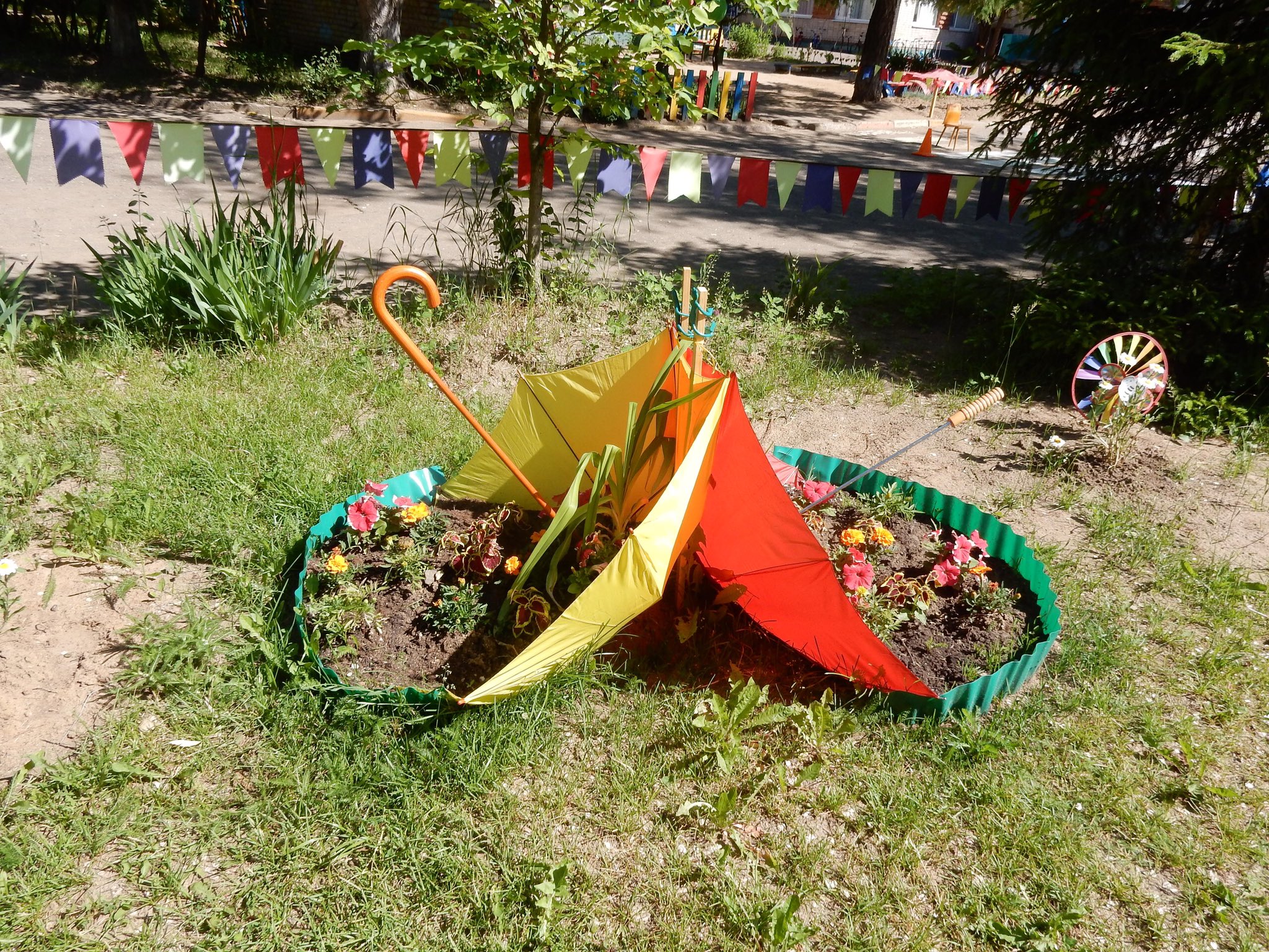 Лучшие клумбы в детском саду