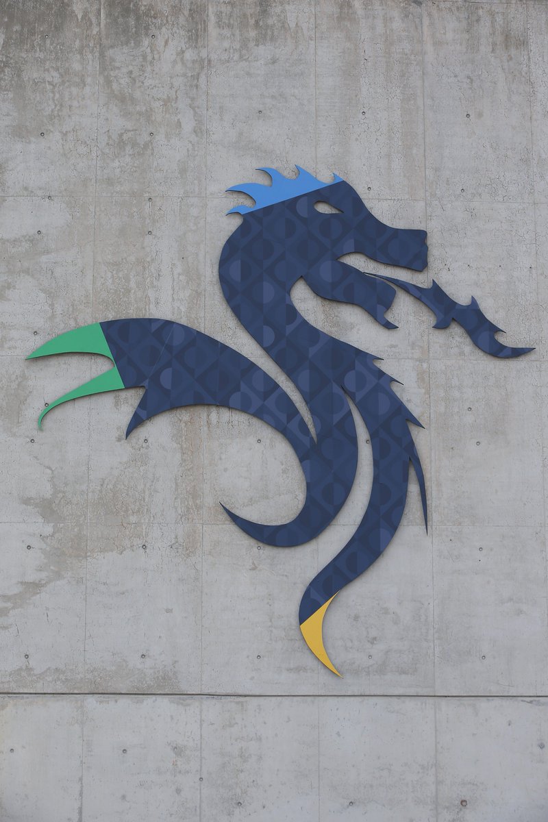 дракон логотип. драгон хостинг. драгон хостинг. дракон пиктограмма. драгон хостинг.