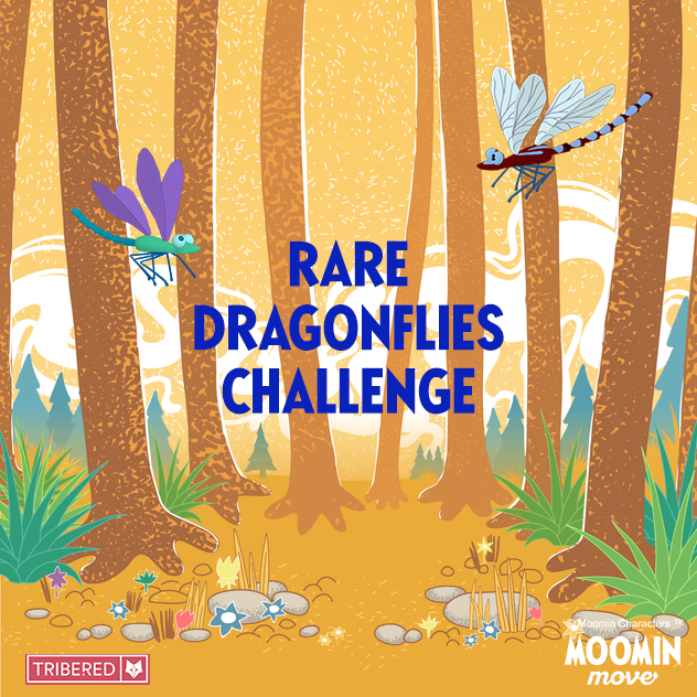 moominmove's tweet photo. Join our Rare Dragonflies Challenge today! Find beautiful dragonflies in #MoominValley💕

#moominmove #moomin #moominmoveasia #moominmovejapan #moominofficial #moominworld #moominfamily #moominmovepets #RareDragonfliesChallenge #HoneyBeesChallenge https://t.co/z0v9GjPGVH