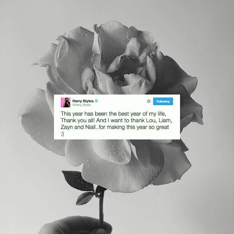 sienaris's tweet photo. — пишется louis, говорится луи. его друзья называют его льюисом, семья луи, а его парень говорит лу.

— этот год был самым лучшим в моей жизни, спасибо каждому из вас! я хочу сказать спасибо лу, лиаму, зейну и найлу за то, что сделали его таким замечательным :) https://t.co/P18rMmCrmf