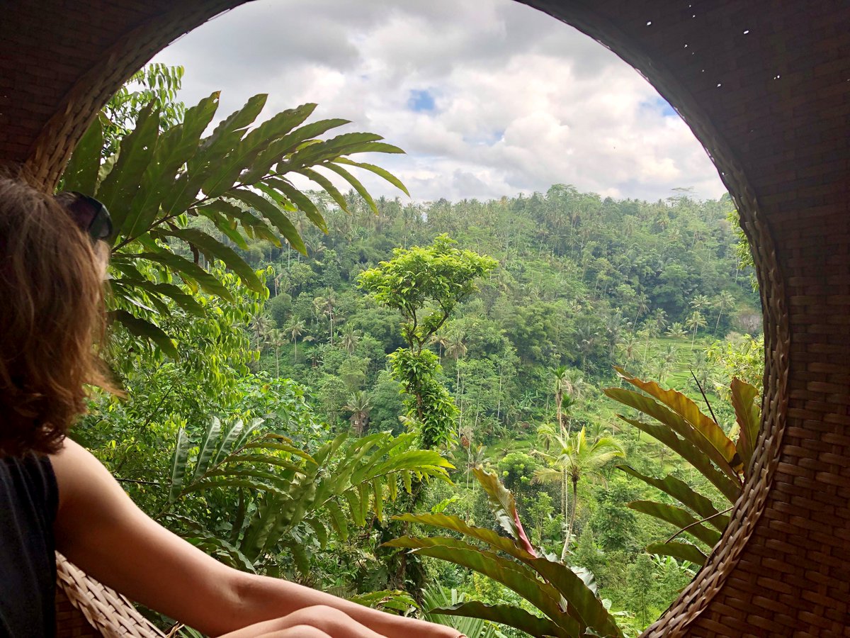 Julestravel's tweet photo. we love #travel #planning complicated itineraries for our clients! Laurence & Wendy had an amazing #honeymoon #Indonesia #Bali #Komodo #cruise #Borneo #Penang #Malaysia #Orangs #dragons #bespoke #holidays https://t.co/GlY7Ph8JyY https://t.co/39At3oCLRD