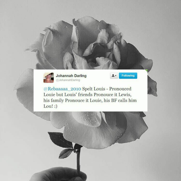 sienaris's tweet photo. — пишется louis, говорится луи. его друзья называют его льюисом, семья луи, а его парень говорит лу.

— этот год был самым лучшим в моей жизни, спасибо каждому из вас! я хочу сказать спасибо лу, лиаму, зейну и найлу за то, что сделали его таким замечательным :) https://t.co/P18rMmCrmf