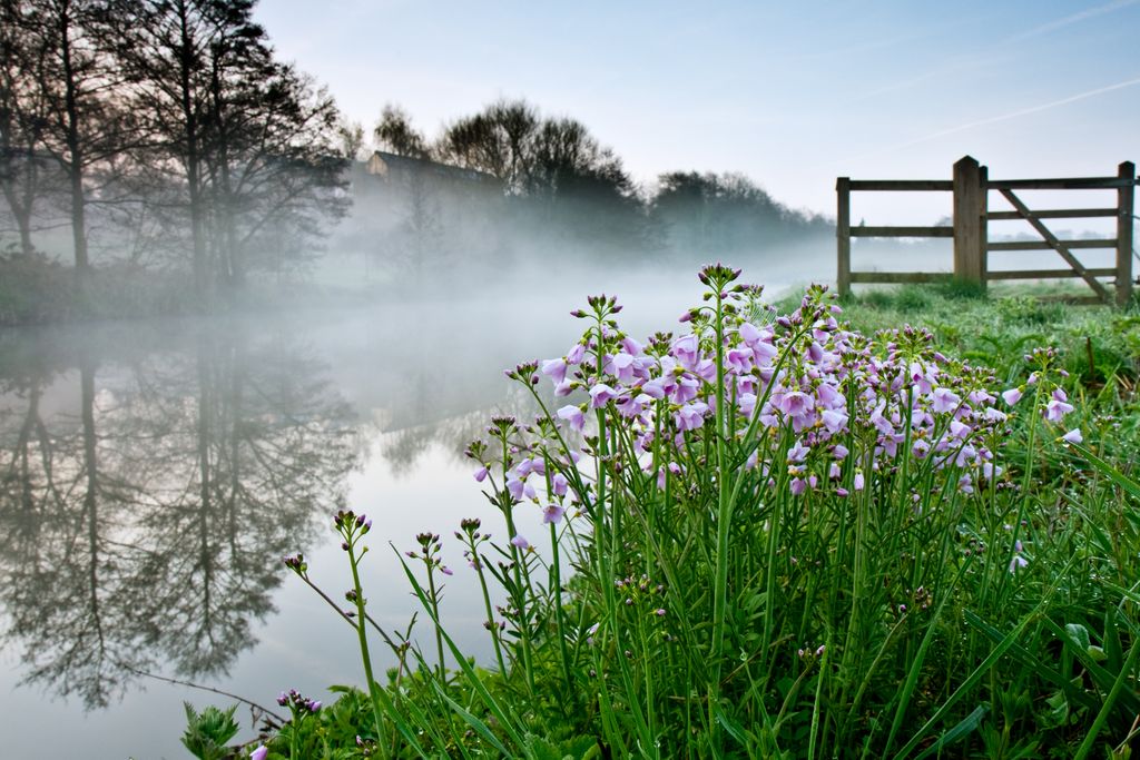 Happy #WorldEnvironmentDay!

The natural world is beautiful, amazing, inspiring. And it's the only one we have.

Together we have to do all we can to protect it and make sure it's there for future generations. 💪🌍🦔🐦🦉🐛🐝🌻🌼🌲🌳⛰️