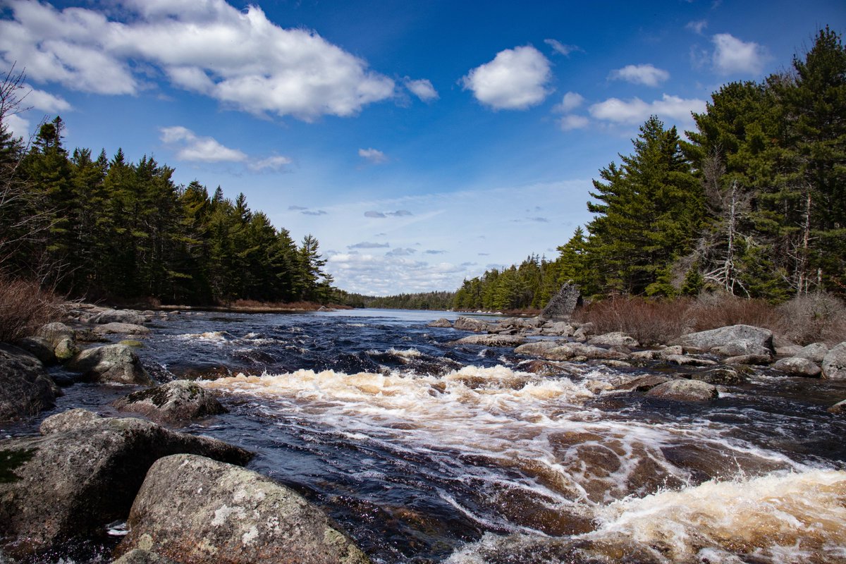 Do you know where this photo was taken? We have a new video coming at you tonight at 6pm ET. Lots of fish, lots of whitewater, and some of the most rugged terrain you could ask for. There are a couple surprises in this one
.
#FindYourNorth #NorthernScavenger #BackcountryCamping