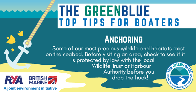 The Green Blue tweet media