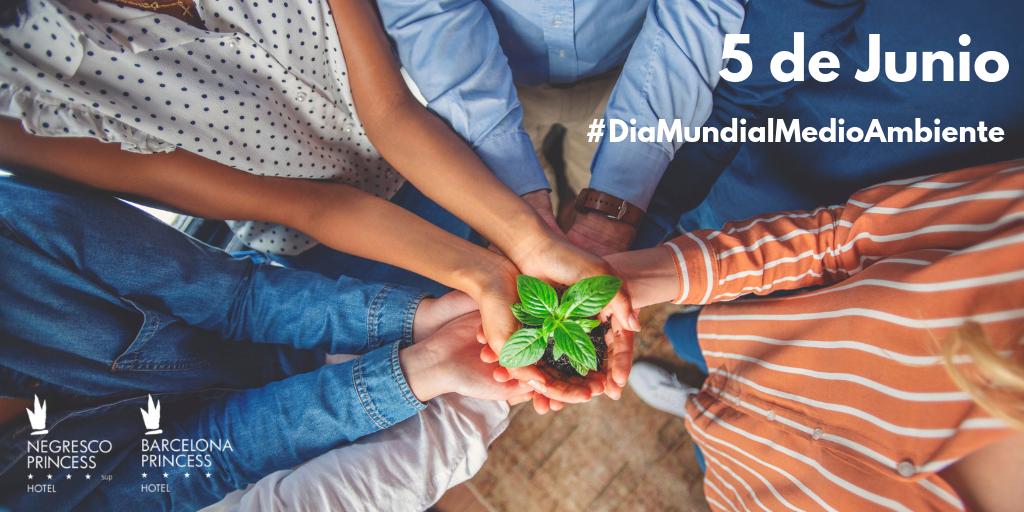 bcnprincess's tweet photo. Hoy es el #DiaMundialMedioAmbiente y en los hoteles Princess estamos muy comprometidos con nuestro entorno.
Descubre en este post las acciones que llevamos a cabo para cuidar nuestro planeta día a día 👉 https://t.co/ClRPaeBrYO
#RSC #HotelsCompromesos #Princess360 https://t.co/DWTLhvin2I