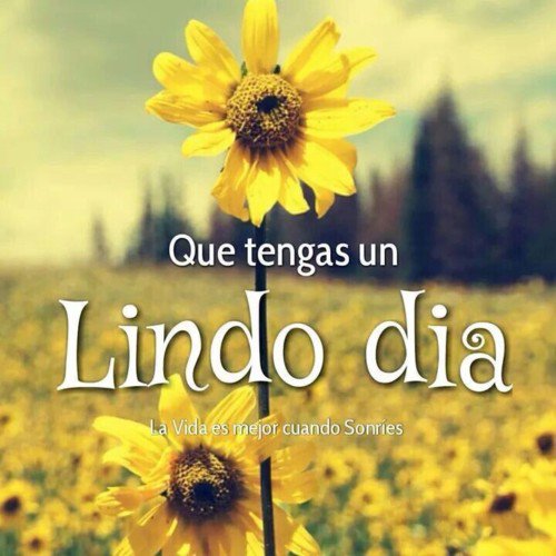 POR LA MAÑANA HAZME SABER DE TU GRAN AMOR,
porque en ti he puesto mi confianza.
Señálame el camino que debo seguir,
porque a ti elevo mi alma.

🌻Salmos 143:8🌻