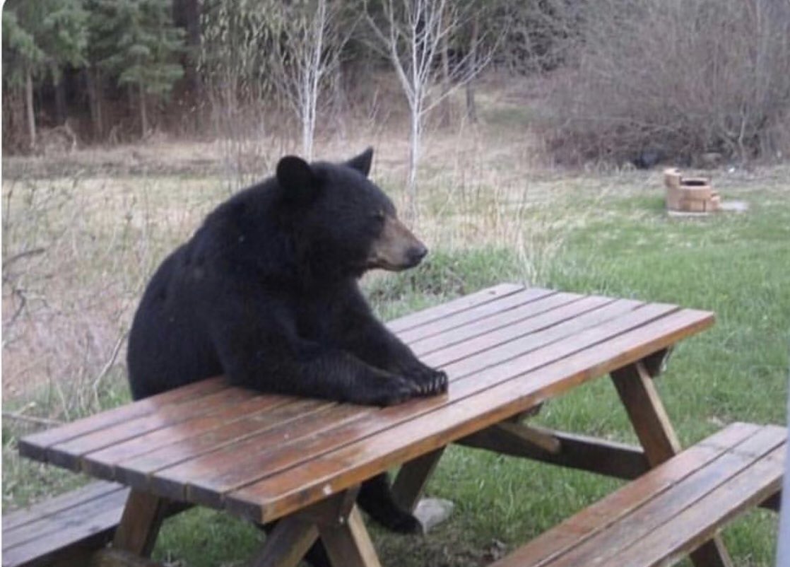 ODDSbibleRacing's tweet photo. Me waiting for Royal Ascot like... https://t.co/wEp99uZeTr
