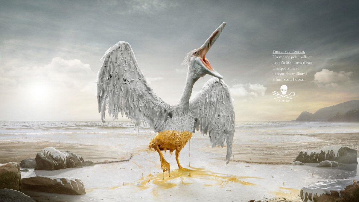 Sea Shepherd France tweet media