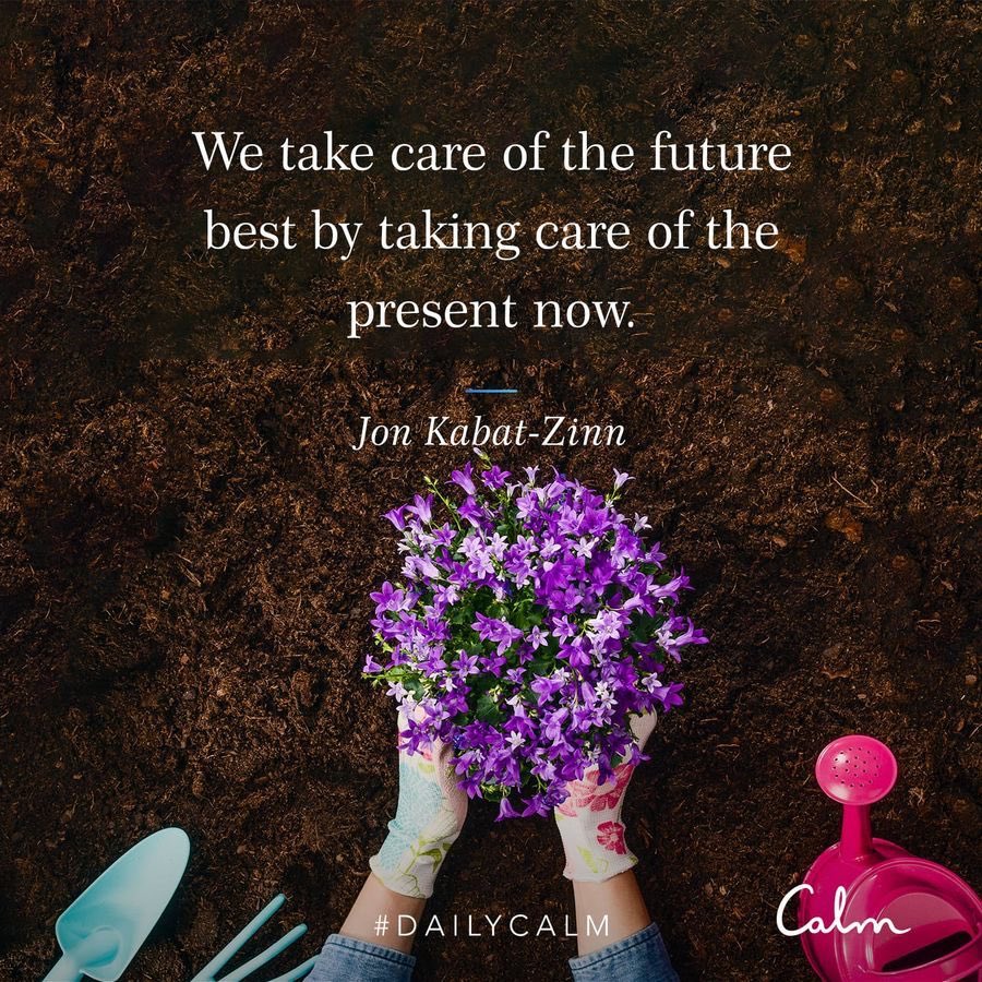 Sue Collard tweet media