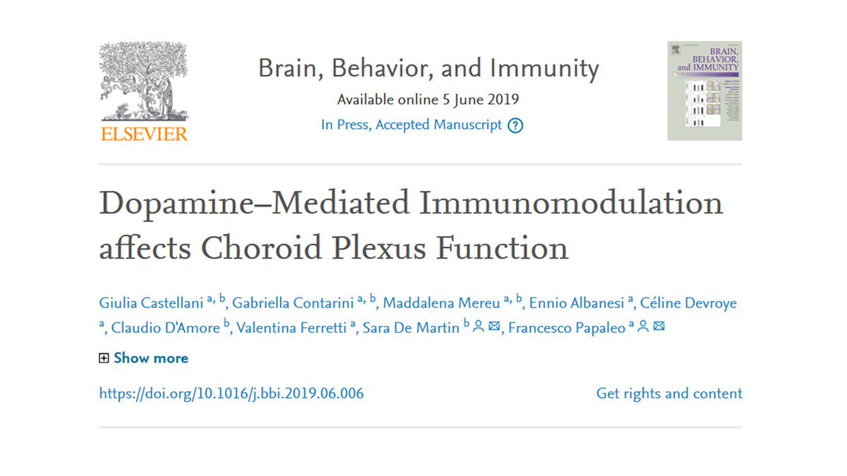 LabPapaleo's tweet photo. New paper of the lab out in @BrainBehavImm link: https://t.co/rlfT6KvINJ
results on Dopamine–Mediated #Immunomodulation! https://t.co/8eHf5yuSxW