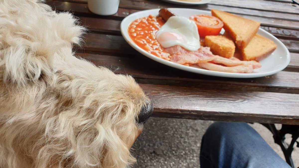ArchieLakeland's tweet image. Snossidge anypawdy? 😊
#breakfastwitharchie @watercressline
