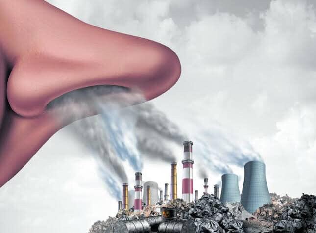 Dumebi_320's tweet photo. Today is #WorldEnvironmentDay ; the theme of this year is Air pollution. The day is observed to raise global awareness to take positive environmental action to protect nature and the planet Earth.
Plant a tree 🌴
Let’s make this a global push to #BeatAirPollution https://t.co/DMlIypfuuA