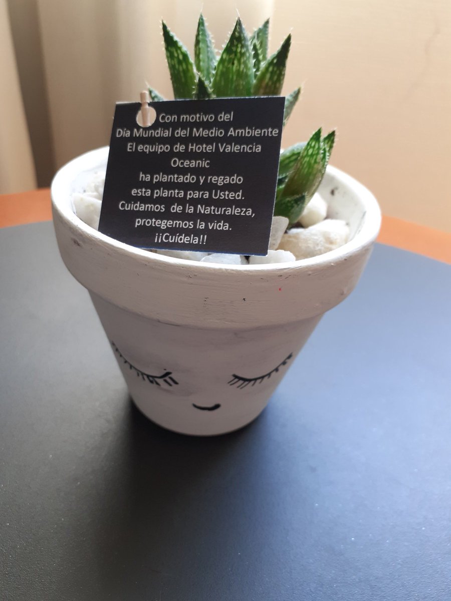 ValenciaOceanic's tweet photo. Hoy #DiaMundialDelMedioAmbiente, el #equipo de @ValenciaOceanic hemos decorado, plantado y cuidado plantas para entragar a nuestros clientes. Cuidamos de la #Naturaleza y protegemos la vida. @margonz19978383 @TomasFranquet @MeliaHotelsInt @TrypHotels @guilleca_2001 @rebesuarezr https://t.co/bCojSpux3s