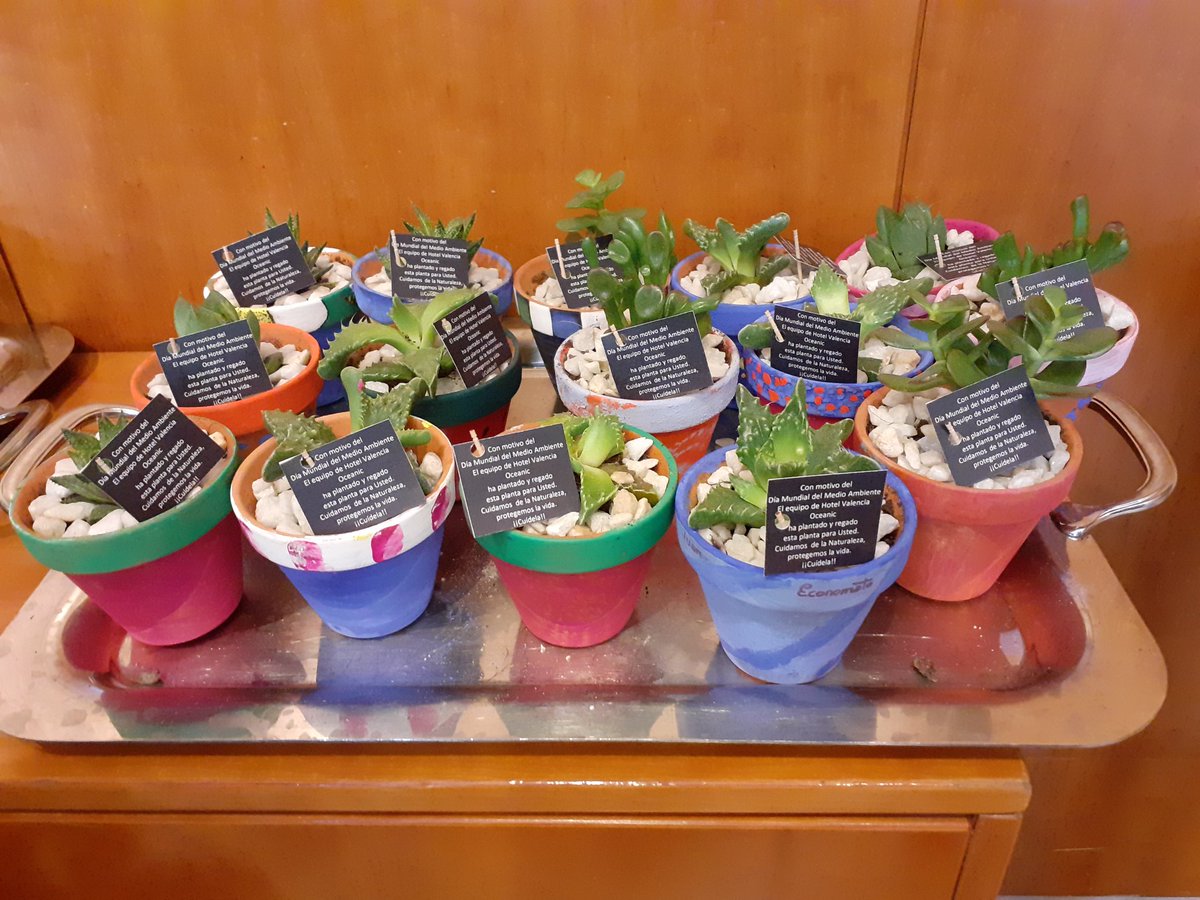 Hoy #DiaMundialDelMedioAmbiente, el #equipo de <a href="/ValenciaOceanic/">Valencia Oceanic Affiliated by Melia</a> hemos decorado, plantado y cuidado plantas para entragar a nuestros clientes. Cuidamos de la #Naturaleza y protegemos la vida. <a href="/margonz19978383/">Mar gonzalez</a> <a href="/TomasFranquet/">Tomás Franquet</a> <a href="/MeliaHotelsInt/">Meliá Hotels International</a> <a href="/TrypHotels/">TRYP Hotels</a> <a href="/guilleca_2001/">Guillermo Cabrera</a> <a href="/rebesuarezr/">Rebeca Suárez</a>