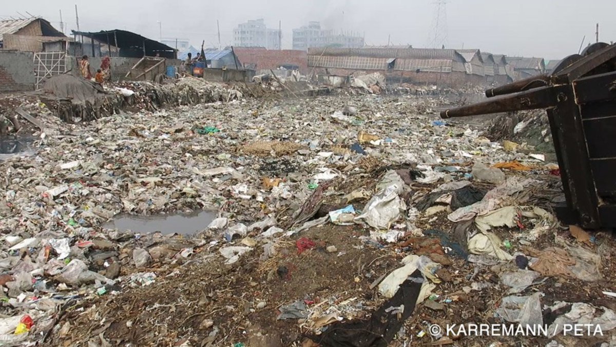 PETAAsia's tweet photo. Leather production harms the environment. It uses up around 70K liters of water per ton & creates toxic waste like THIS. #LeatherIsDead #WorldEnvironmentDay https://t.co/pCXi1JxOfi