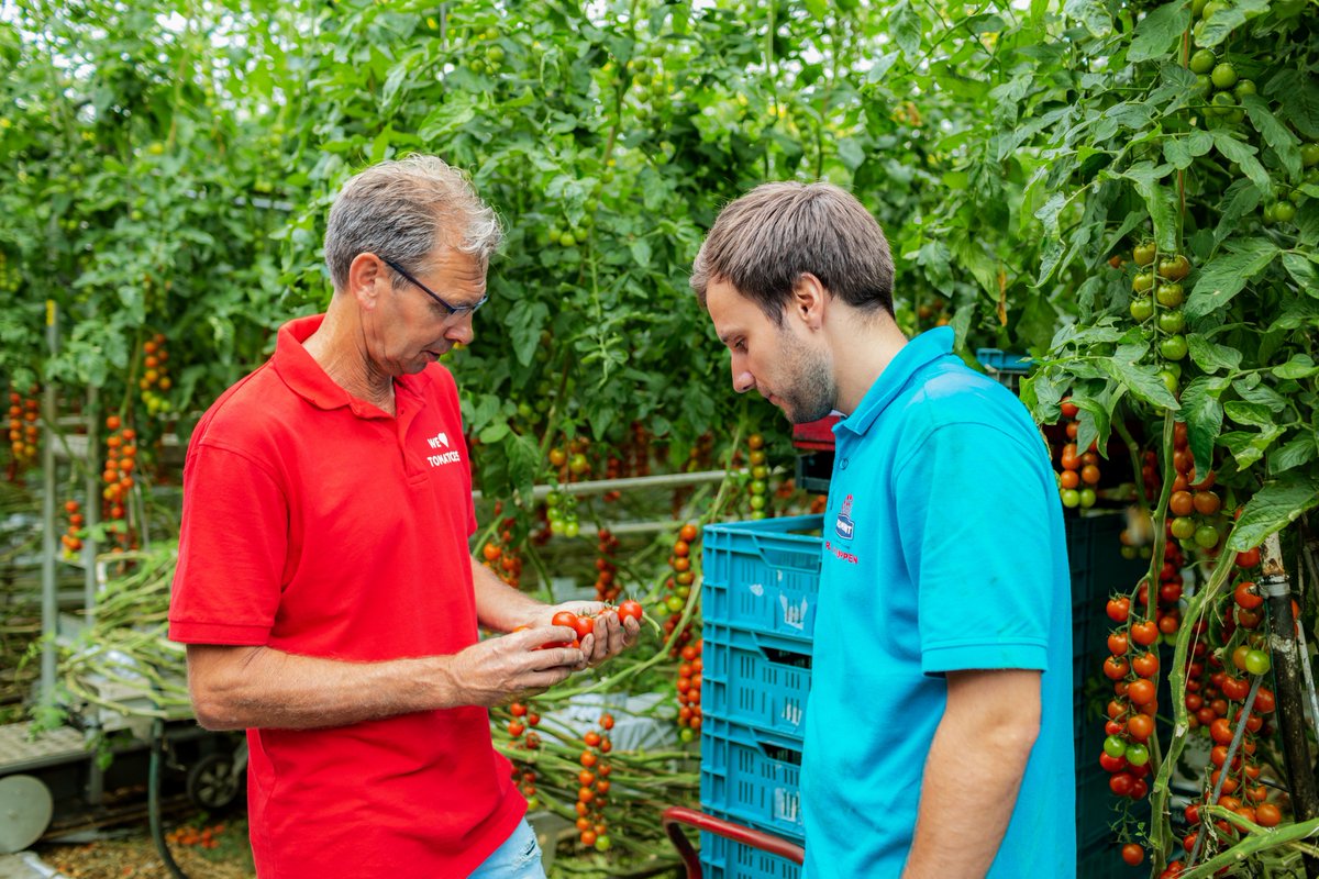 Als (aankomend) #Teamleider #Kwekerij stuur je graag mensen aan en je wordt blij van processen die helemaal op rolletjes lopen. Als geen ander zie jij op welke punten werkwijzen verbeterd kunnen worden. Herken jij jezelf hierin? Check dan de vacature via: bit.ly/2KpRklm