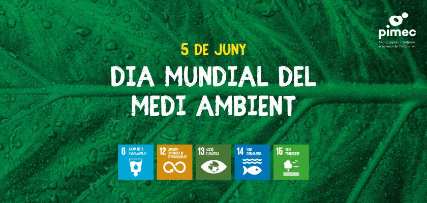 ♻️Avui i sempre hauria de ser el #DiaMundialdelMediAmbient. Aquest 2019, centrat en la lluita contra la contaminació de l'aire, des de <a href="/pimec/">Pimec</a> seguim avançant cap models econòmics més sostenibles. 
Tinguem cura del nostre planeta 🌍
#WorldEnvironmentDay #DíaMundialDelMedioAmbiente