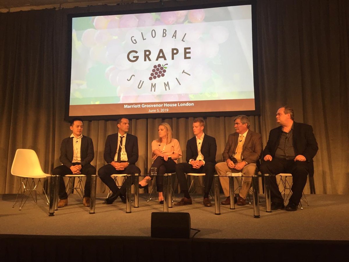 PortalFruticola's tweet photo. Analizando la respuesta del consumidor frente a nuevas variedades con un panel de expertos en Global Grape Summit 2019 🍇, en London Produce Show #celebratingFRESH #globalgrapesummit https://t.co/0OyHuhrXs2