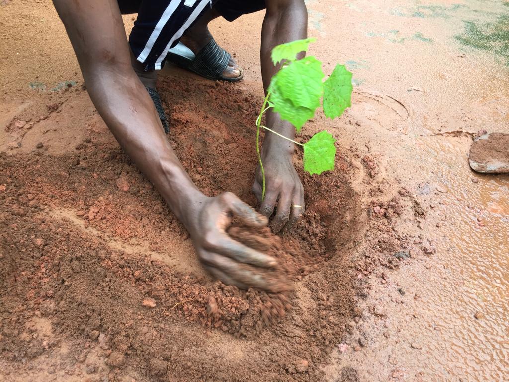 Glory_Imarath's tweet photo. #Ensemble, #Plantons des #arbres pour la #sauvegarde de l'#environnement 

Aujourd'hui #5juin
#Journée #Mondiale de l'#Environnement

Thème : #Plantation d'#arbres https://t.co/U3lbdNSQrq