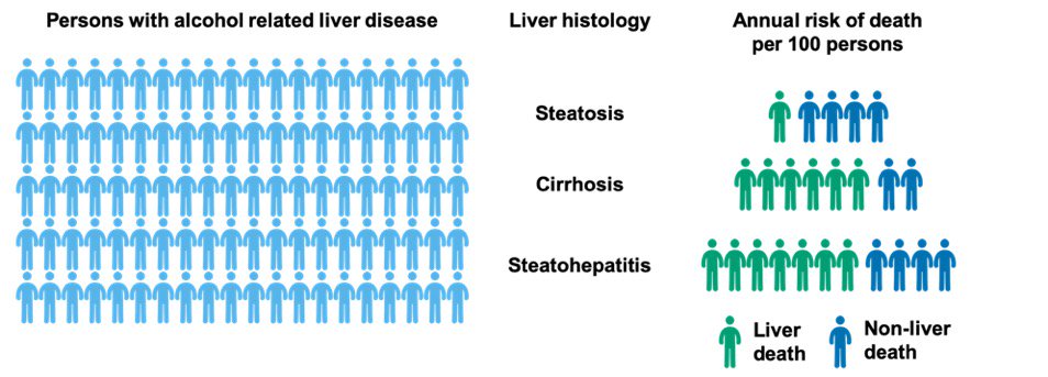 New in Journal of Hepatology from my colleague <a href="/drrichardparker/">Richard Parker</a> here <a href="/LeedsHospitals/">Leeds Teaching Hospitals</a> and me @LeedsMedHealth with European collaborators.

Outcomes after biopsy in alcohol related #liver disease - better natural history data are needed!

Full paper: bit.ly/2KtHZJp