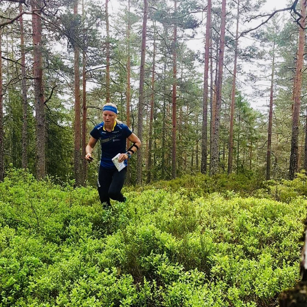 Blåbärsris och kullersten annabachman.com/2019/06/05/bla…