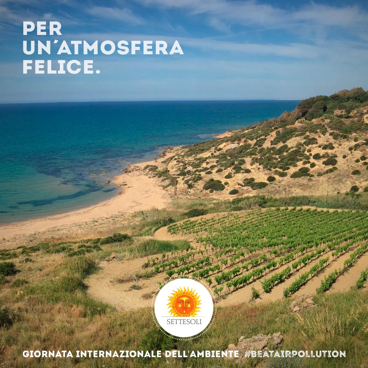 Settesoli tweet media