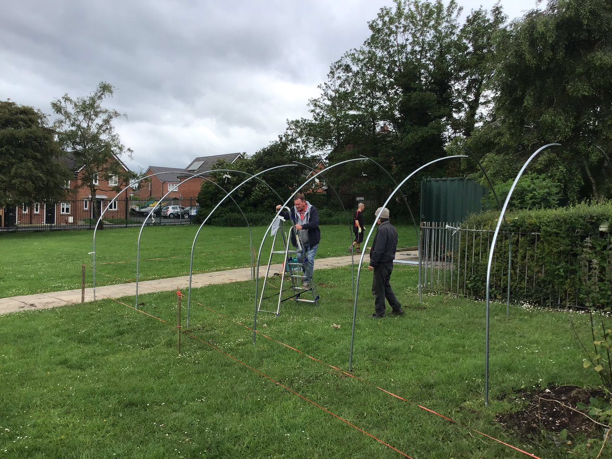 Very exciting! It's going up! #schoolpolytunnel @FirstTunnels @Natalie_Jigsaw @ChorleyInBloom @ChorleyShed #gardening #allotment

@dustymears @RobsAllotment @ChristineWalkd @TheMontyDon @FlowerdewBob @BBCGQT @kathyclugston @BeechgroveGdn @RHSSchools @GWandShows @BBCLancashire