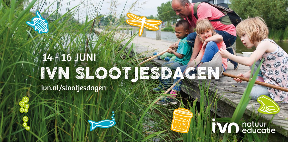 ★ Gratis gezinsuitje: Kom ook naar de sloot! ★
Welk waterdiertje kan ook zomers schaatsen? Wie zwemt op z’n rug? Hoe ademen waterspinnen onder water? Ontdek het allemaal tijdens de Slootjesdagen van 14 t/m 16 juni! Met gratis profi begeleiding van IVN.
kidsproof.nl/DenHaag/eropui…