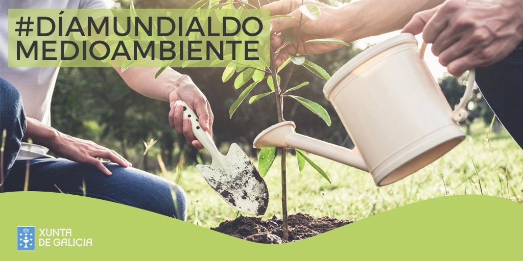 #DíaMundialDoMedioAmbiente
Parabéns a todas as persoas que coidan do noso planeta👏E ás que non o fan animámosvos a facelo 💚🌍 

#DíaMundialDelMedioAmbiente