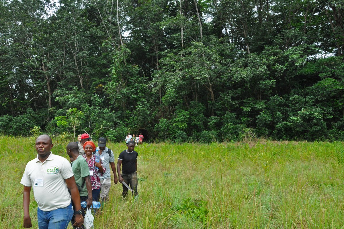 forestsdialogue's tweet photo. On this #WorldEnvironmentDay we’re highlighting a current initiative, #UnderstandingDeforestationFree.  Read more about how #UDF aims to explore what deforestation-free commitments mean and how they can succeed in reducing #deforestation. 
https://t.co/RRwu84rS2Z https://t.co/0v10JDR4hD