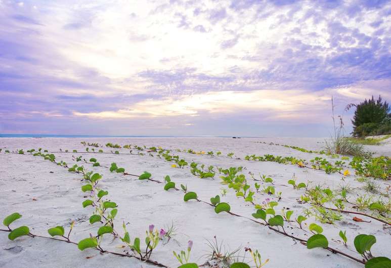 WestWindInn's tweet photo. Who is ready to make memories by the sea at @westwindinnofsanibel?! ✋ https://t.co/xOKRVkZgGN