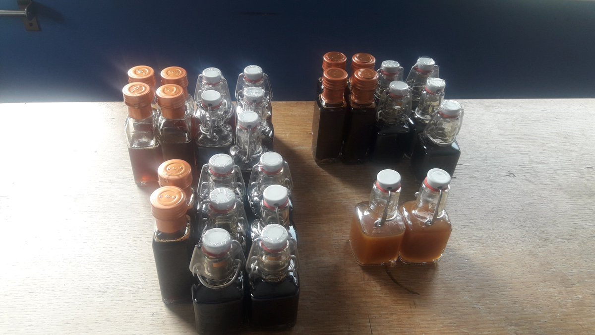 Celebrating #WorldEnvironmentDay with birch syrup at LLyG HQ.  Product research for the <a href="/DewisGwyllt/">DewisGwyllt</a> project.  It is sweet, smoky and delicious - the rest of the #ForestryHub agree!  #wildproducts #wildfoods