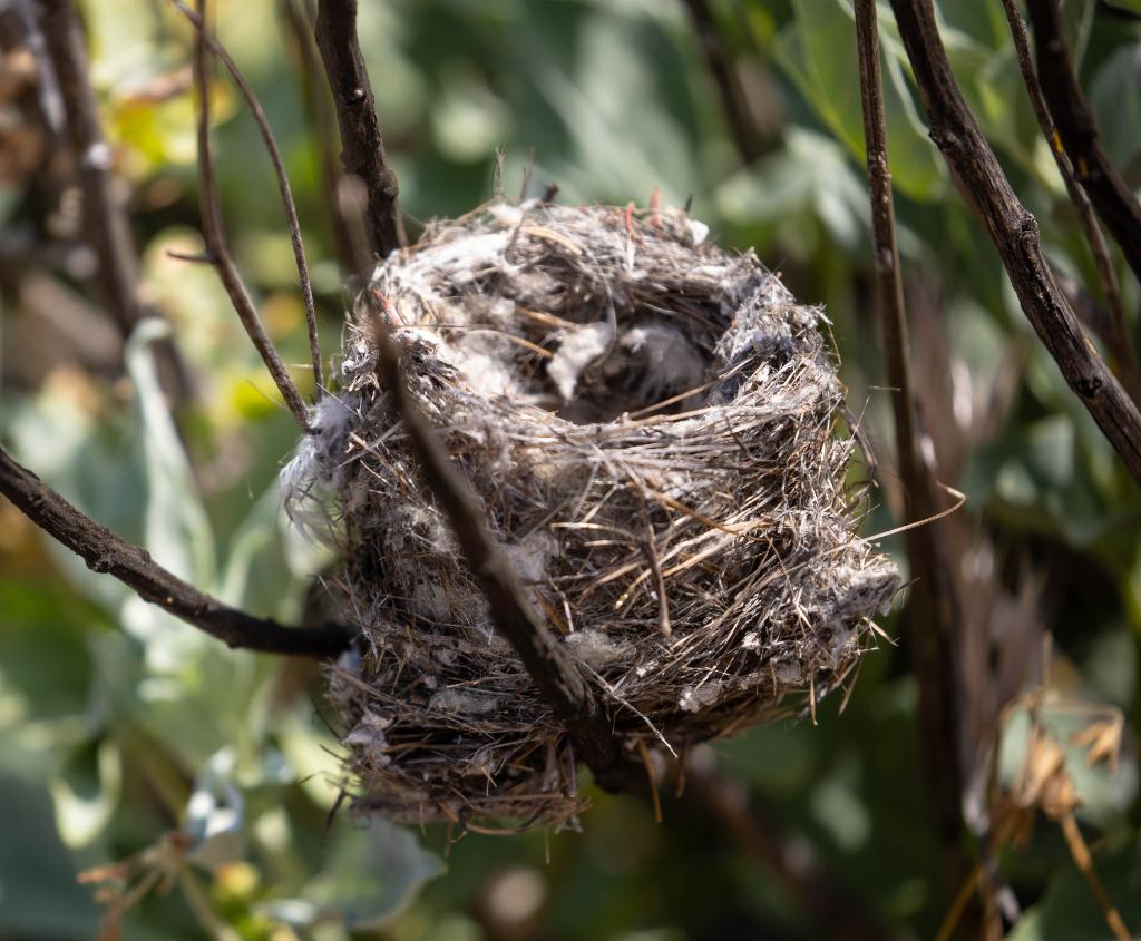 WasteManagement's tweet photo. In honor of #WorldEnvironmentDay, we showcase one of our habitats that's contributing to a stronger environment. https://t.co/GEEXiQUNDd https://t.co/U7XgXF6sIH