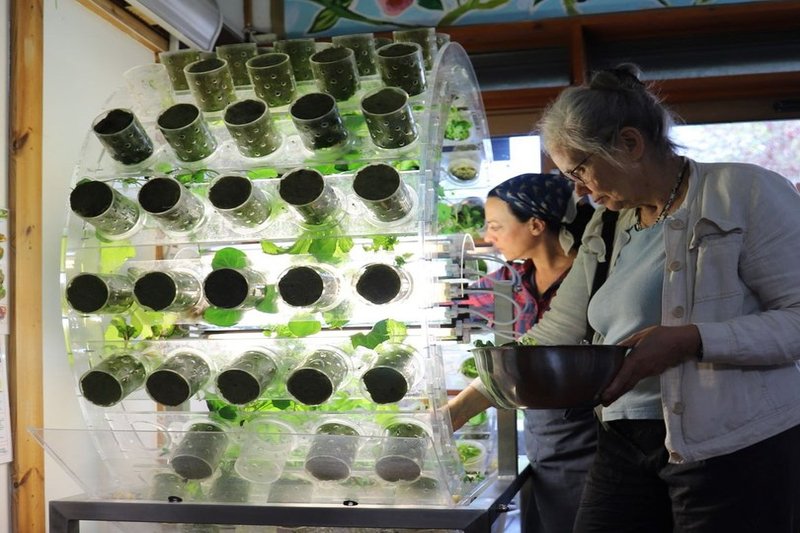 Here are the best events taking place in Wandsworth this June! #thingstodo #events #london
essentialsurrey.co.uk/surrey-sw-lond…