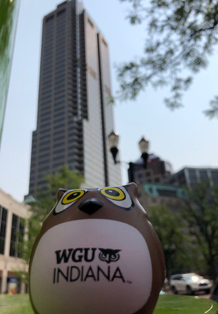 WGUIndiana's tweet photo. “The greatest danger for most of us is not that our aim is too high and we miss it, but that it is too low and we reach it.” – Michaelangelo || #WGUIndiana is for those who refuse to settle! Our students and alumni always aim high! #WednesdayWisdom with Sage 🦉 https://t.co/gWkKdPAJqf