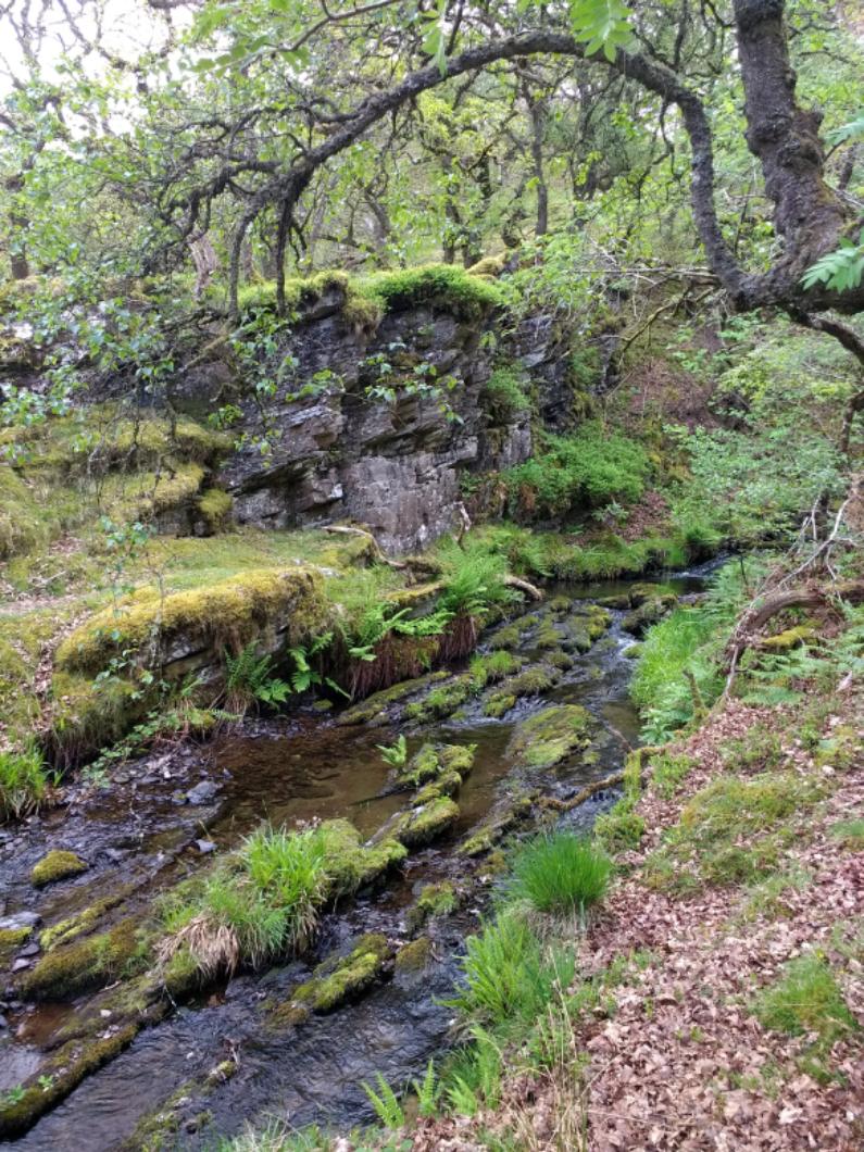 CareMoor for Exmoor tweet media