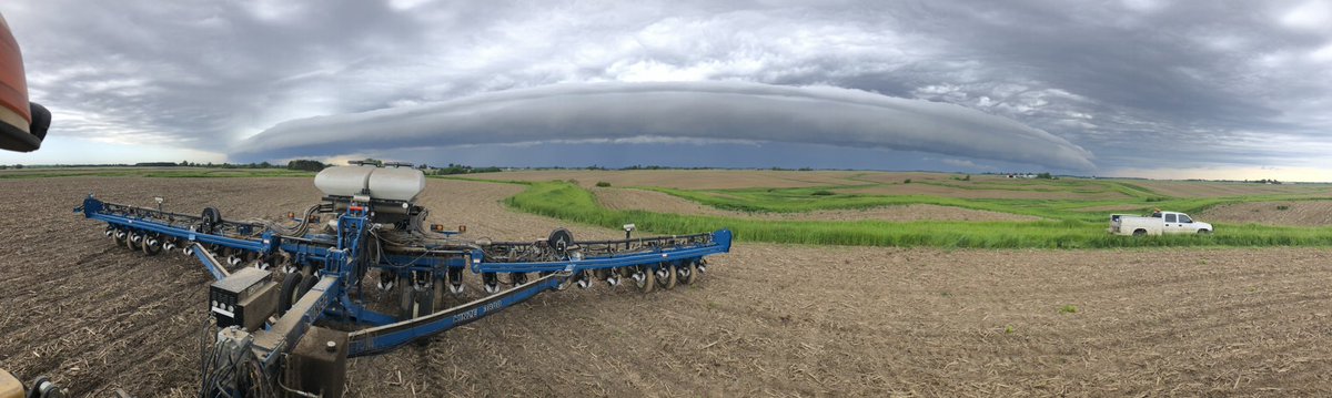 Now what? #noplant2019 #Plant19