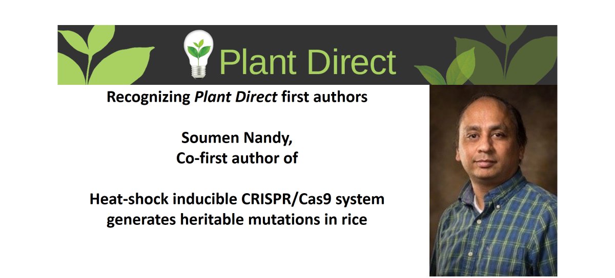 PlantDirectJ's tweet photo. Recognizing Plant Direct first authors: Soumen Nandy https://t.co/XJuVCy1gz4, co-first author of Heat‐shock‐inducible CRISPR/Cas9 system generates heritable mutations in rice  https://t.co/83HxxasCct https://t.co/8CGIc4uBZS