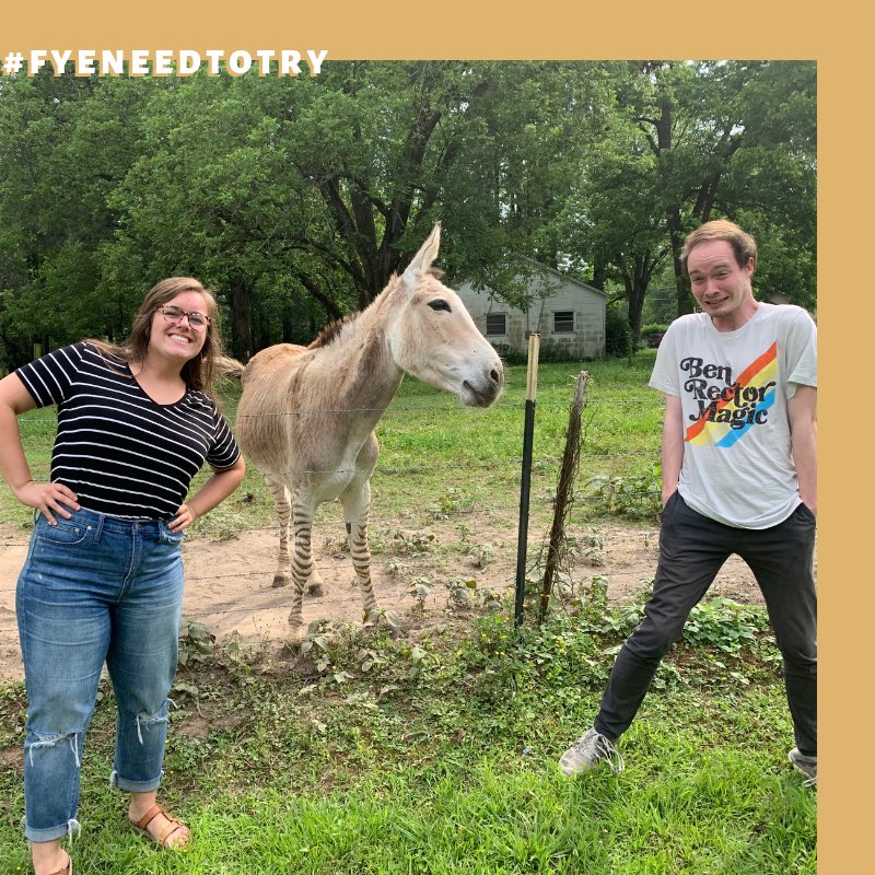 HU_FYE's tweet photo. As a first-year student, you need to try finding the zonkey. The zonkey is a special roadside attraction in Kensett. A mix between a zebra and a donkey, this unique animal receives countless visits from Harding students searching for a silly outing. #FYENeedToTry #FYEInsideStory https://t.co/1Nt8IJnkN7