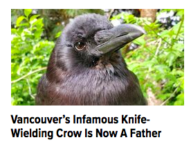 Glad to see the young man turned his life around.