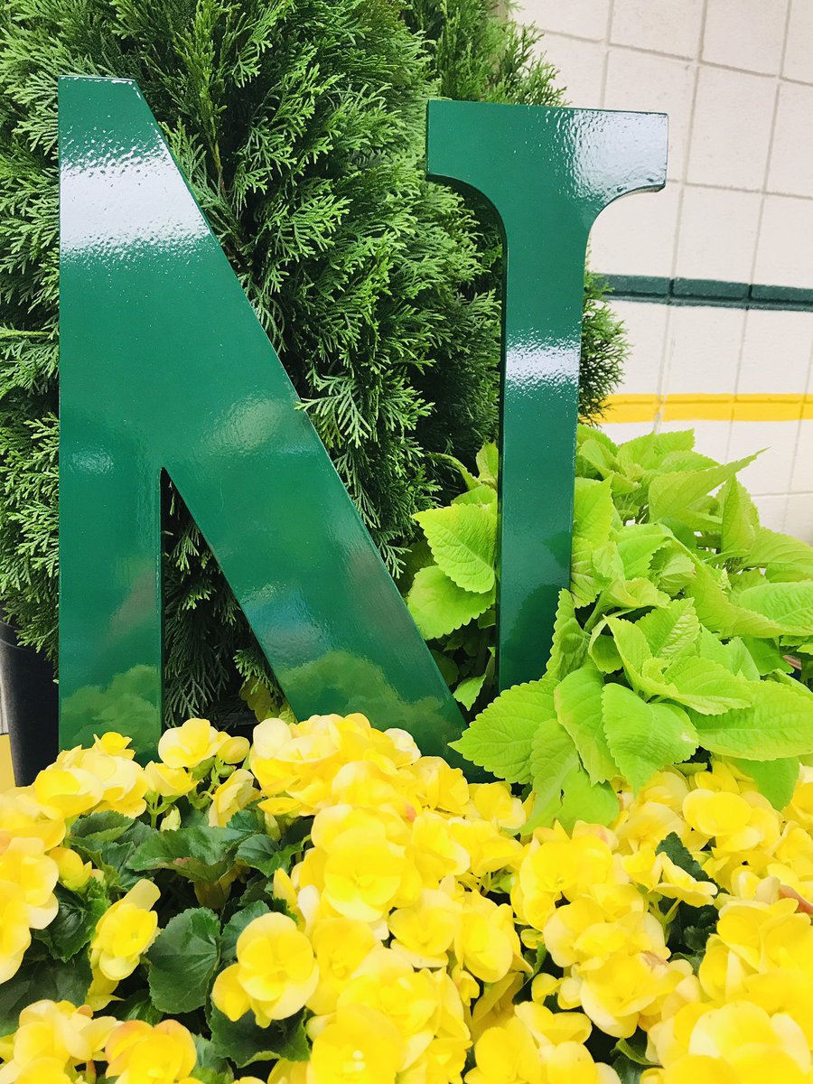 Peggy Bonbrisco (@mrsbonbrisco) on Twitter photo Sneak Peak for tomorrow’s Commencement Ceremony <a href="/GPNHS/">Grosse Pointe North</a> <a href="/GPN2019/">Class of 2019</a> . Thursday, 6:30 pm. Seniors, I’ll see you in the gym at 5:30 pm. 💚💛🎓<a href="/katecalmurray/">Dr. Kathryn C. Murray</a> Sneak Peak for tomorrow’s Commencement Ceremony <a href="/GPNHS/">Grosse Pointe North</a> <a href="/GPN2019/">Class of 2019</a> . Thursday, 6:30 pm. Seniors, I’ll see you in the gym at 5:30 pm. 💚💛🎓<a href="/katecalmurray/">Dr. Kathryn C. Murray</a>