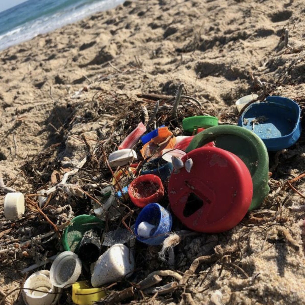 Philanthrotank's tweet photo. Surface 71 needs your help cleaning the #beach Saturday 9a Mediterranean Rd Palm Beach on #WorldOceansDay! The Ed Network is doing a story on the efforts.
15K for teens who have ideas to help the community: https://t.co/Ggx668SAci
#westpalmbeach #philanthropy #ocean #changemakers https://t.co/5wsqZrru3b