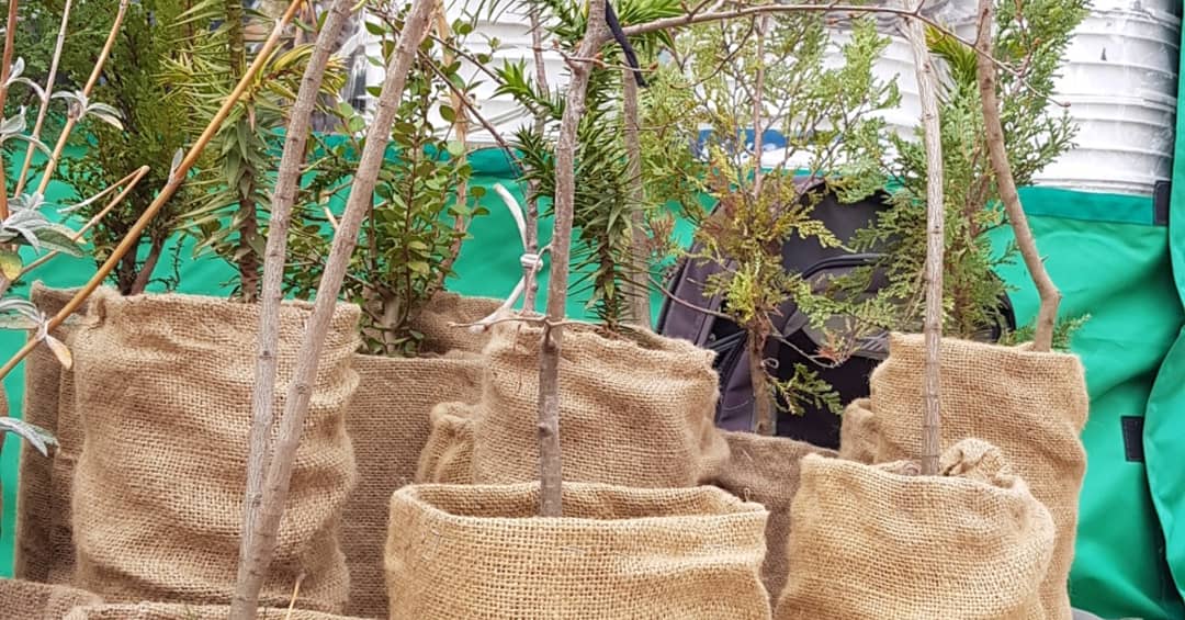 SecAmbNqn's tweet photo. #Ahora "Primer Encuentro de viveros de especies nativas de la Provincia del Neuquén"
Festejamos el #DíaMundialdelAmbiente en el centro de Neuquén. Acercate estamos hasta las 14 hs!
#Ambiente #FaCIAS #CORFONE #ViverosNeuquinos #JuntosHacemosLaMejorProvincia @OmarGutierrezOk https://t.co/oymm8tBQkC
