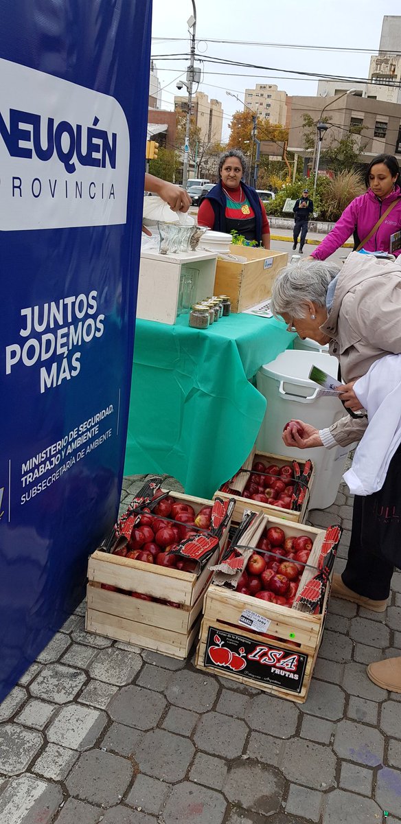 SecAmbNqn's tweet photo. #Ahora "Primer Encuentro de viveros de especies nativas de la Provincia del Neuquén"
Festejamos el #DíaMundialdelAmbiente en el centro de Neuquén. Acercate estamos hasta las 14 hs!
#Ambiente #FaCIAS #CORFONE #ViverosNeuquinos #JuntosHacemosLaMejorProvincia @OmarGutierrezOk https://t.co/oymm8tBQkC