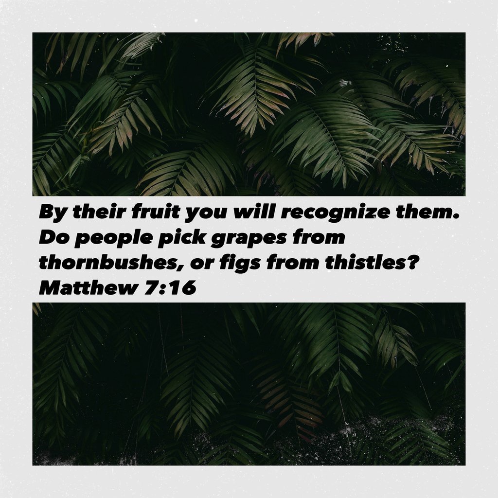 God will produce good things through his people. 2 Corinthians 13:5 says we should "Examine ourselves to see whether you are in the faith:" As we examine our lives you can ask yourself this question, are you producing good things?